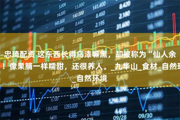 忠琦配资 这东西长得乌漆嘛黑,却被称为“仙人余粮”!像果脯一样糯甜,还很养人。_九华山_食材_自然环境