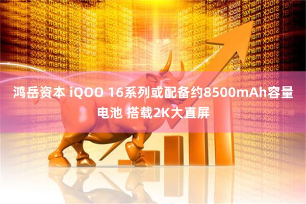 鸿岳资本 iQOO 16系列或配备约8500mAh容量电池 搭载2K大直屏