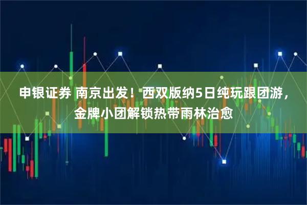 申银证券 南京出发！西双版纳5日纯玩跟团游，金牌小团解锁热带雨林治愈