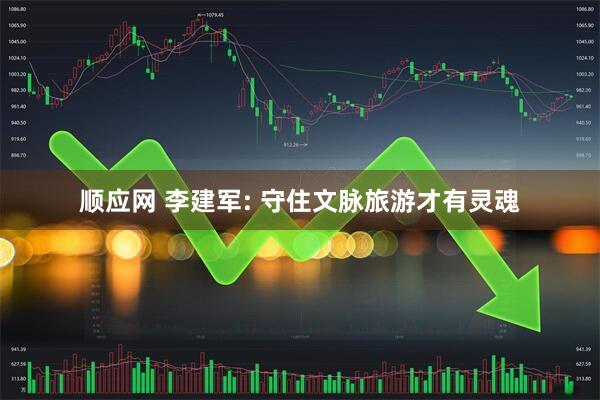 顺应网 李建军: 守住文脉旅游才有灵魂